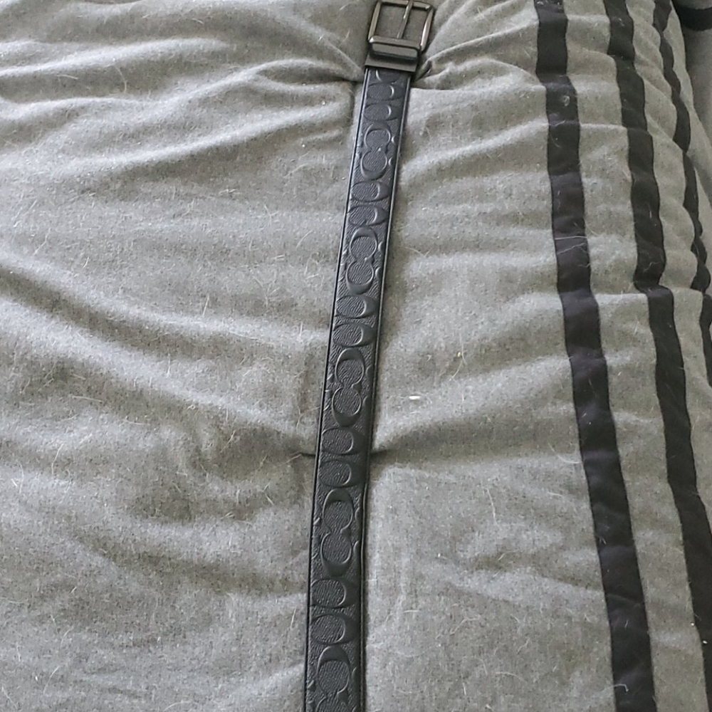 Belt - Picture 2 of 2